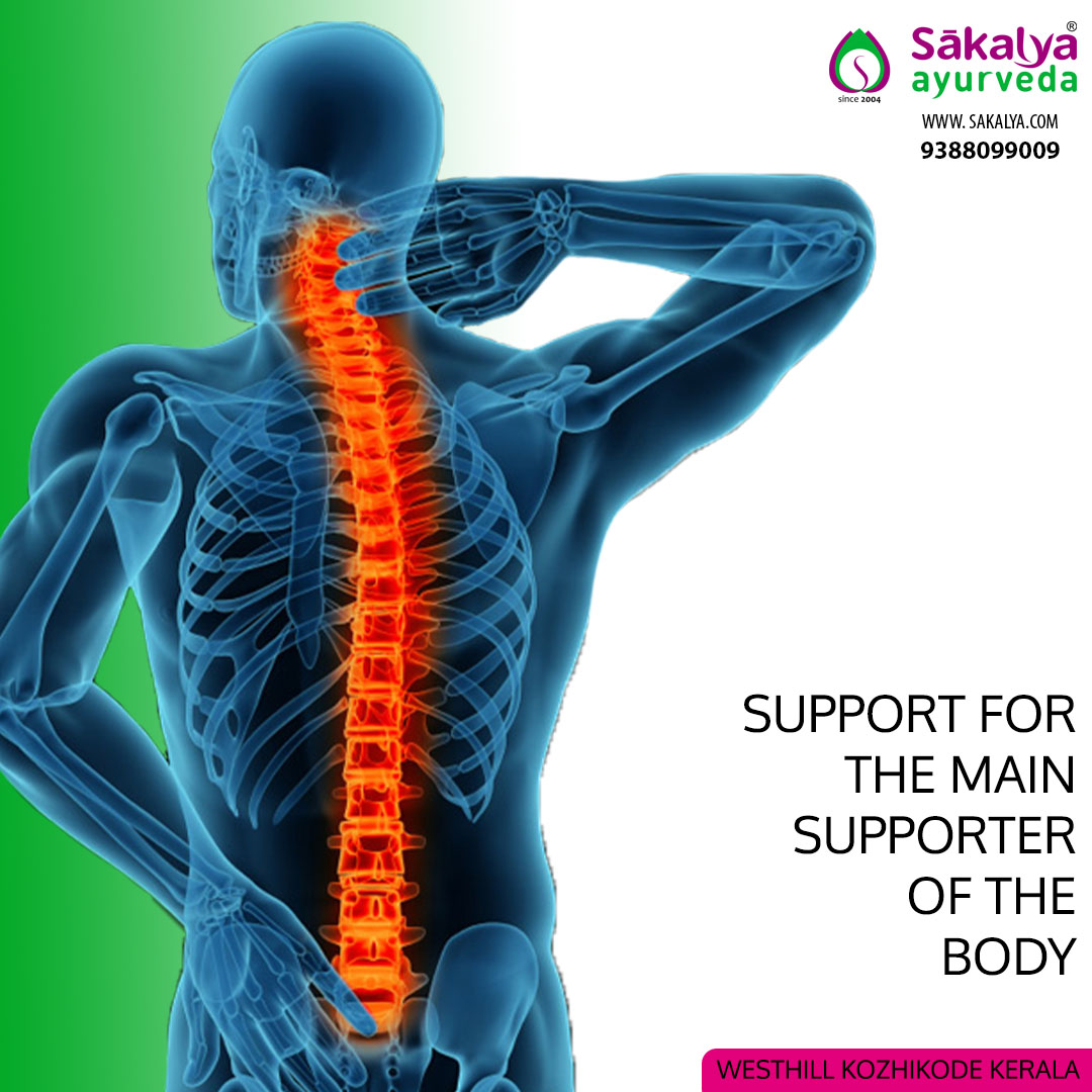 BACK PAIN AND AYURVEDA