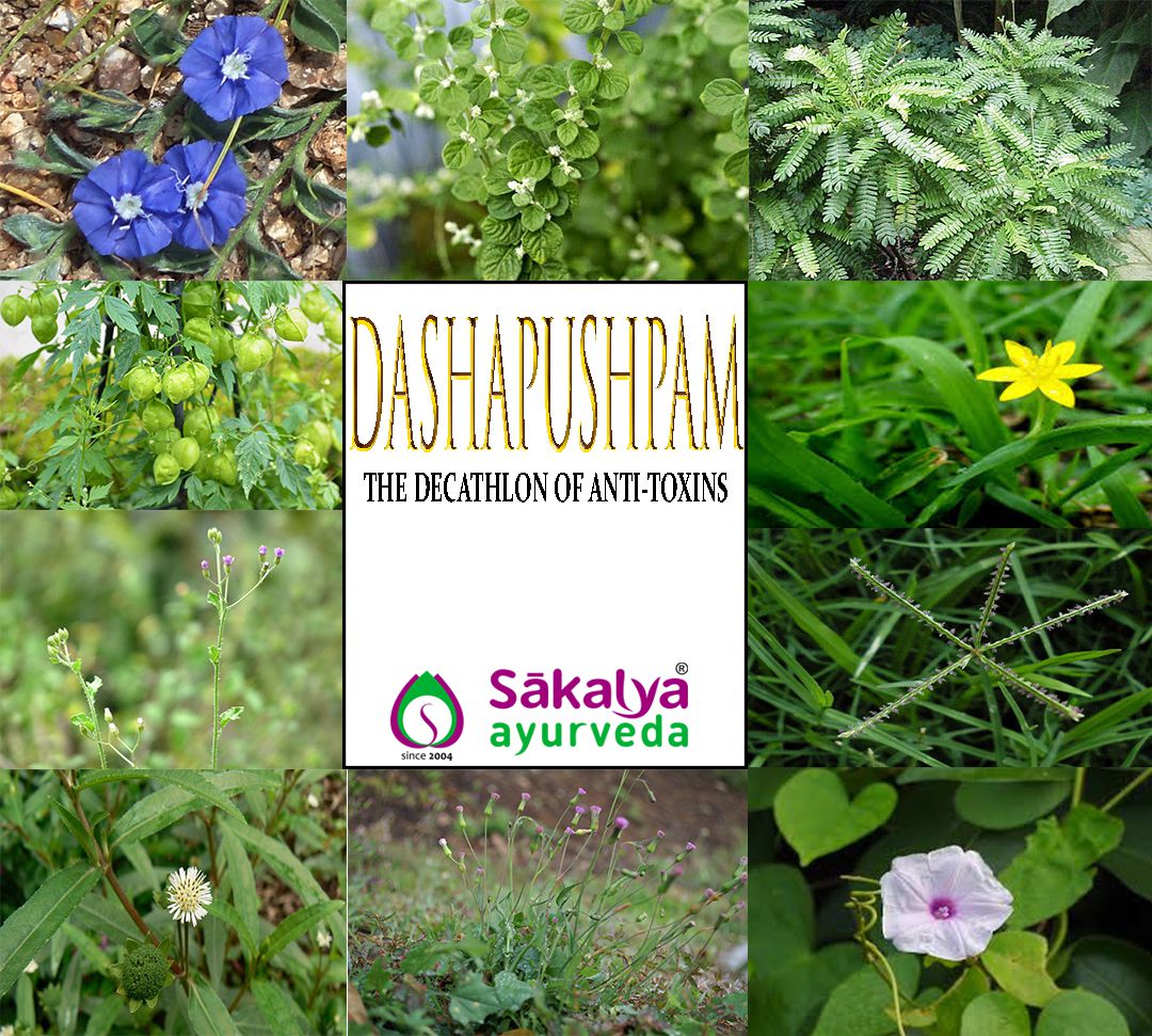 Dashapushpam